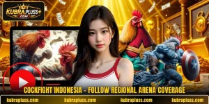 Cockfight Indonesia - Follow Regional Arena Coverage