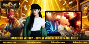 Cockfight Victory - Review Winning Results And Notes