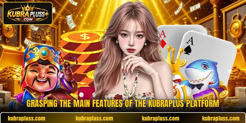 Grasping the main features of the Kubraplus platform