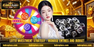 Lotto Investment Strategy - Manage Entries And Budget