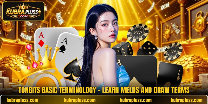 Tongits Basic Terminology - Learn Melds And Draw Terms